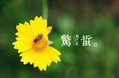 惊蛰来临，天气回暖，春