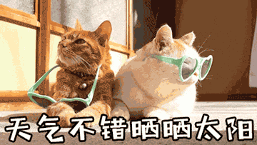 注意!气温暴降!冬至苏州天气...