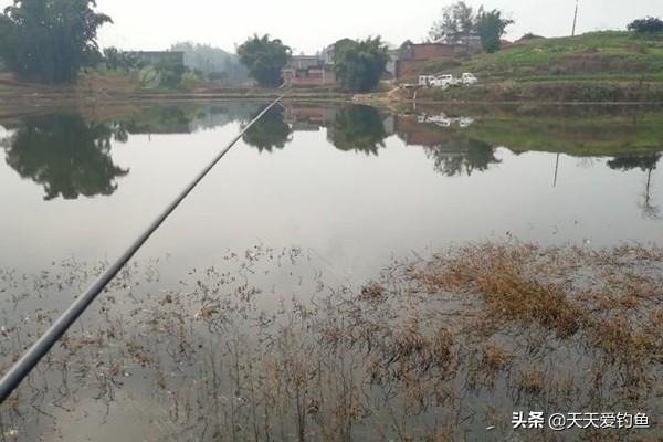 冬钓狠招数:大雪到冬至,注意4钓4不钓,收获肯定差不了