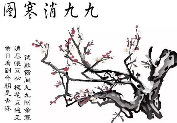 冬至:宜补身心,养阳益阴|二十四节气养生