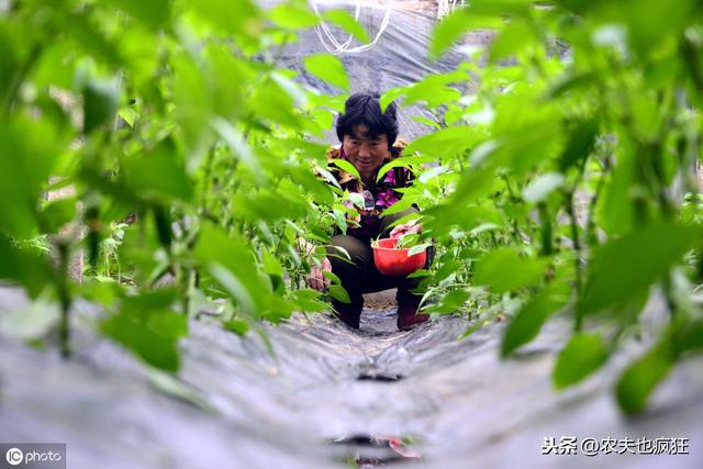 冬至节气快到了,“阴过冬至晴过年”什么意思?古人的经验之谈