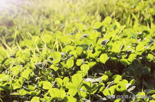 本周天气多云为主 冬至当天不太冷