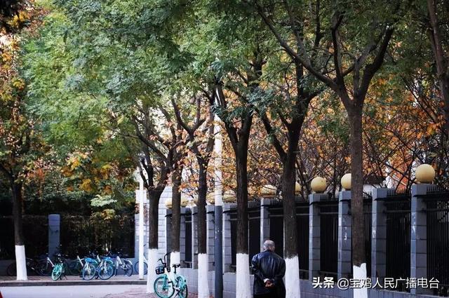 本周天气多云为主 冬至当天不太冷