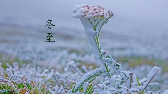 农村俗语“冬至中,单衣就过冬”是啥意思?今年冬天还会冷吗?
