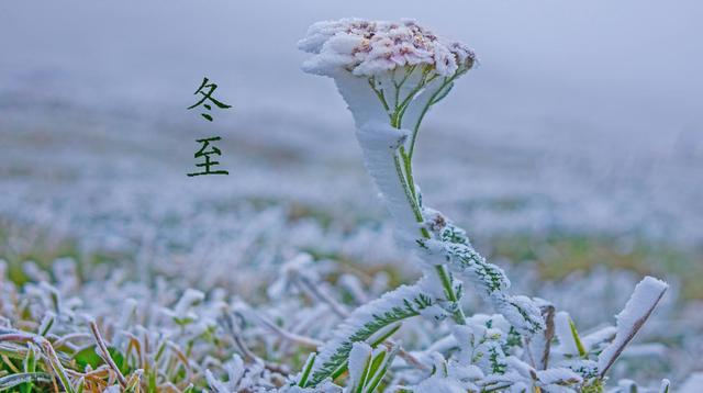 农村俗语“冬至中，单衣就过冬”是啥意思？今年冬天还会冷吗？