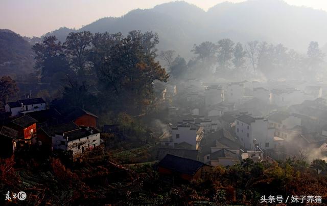 农村俗语：“寒风迎大雪，三九天气暖”，异常天气，需要注意什么