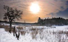 农村俗语：“寒风迎大雪