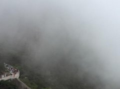2019年白露时间是哪一天