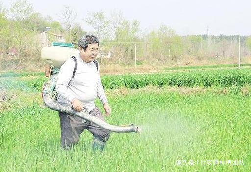 “天气预报”登上热搜，赶快做好小麦预防，别说没有提前告诉你