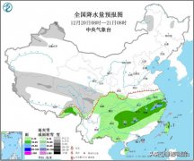 今日8时更新：全国、山东