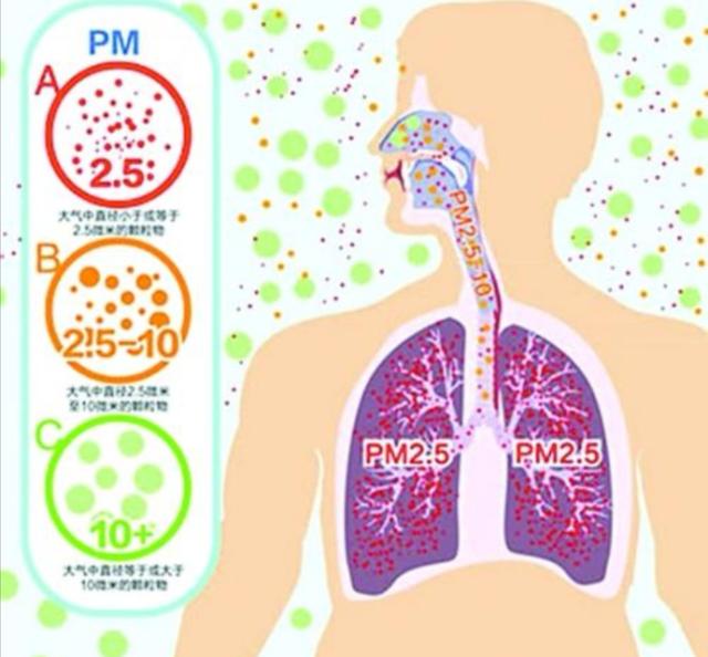 雾霾天来了，雾霾对宝宝身体伤害有多大？家长必读！