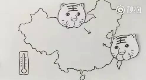 【气象科普知识】清明为什么偏爱下雨呢?原来天气受两只大老虎的支配