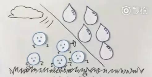 【气象科普知识】清明为什么偏爱下雨呢?原来天气受两只大老虎的支配