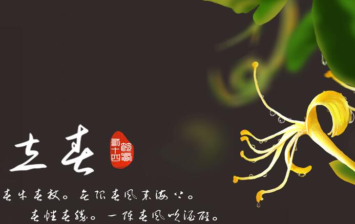 立春的由来简介30字左右 与立春有关的来历和故事