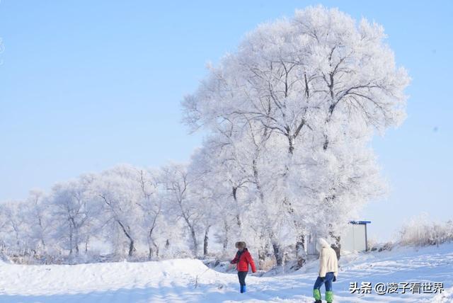 2019年我看过最美的一次雾凇，中国雾凇这家强