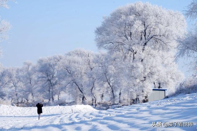 2019年我看过最美的一次雾凇,中国雾凇这家强