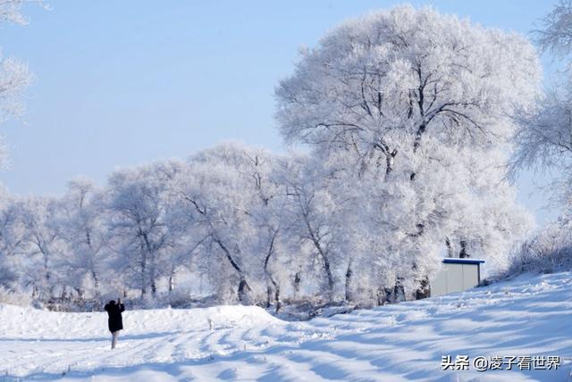 2019年我看过最美的一次雾凇，中国雾凇这家强