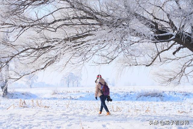 2019年我看过最美的一次雾凇，中国雾凇这家强