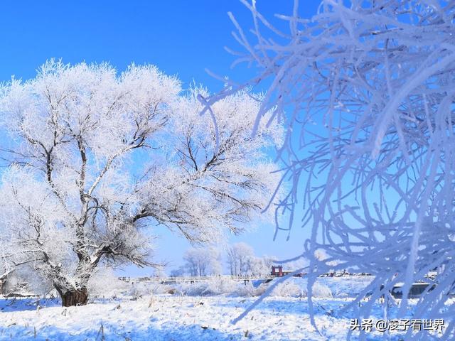 2019年我看过最美的一次雾凇,中国雾凇这家强
