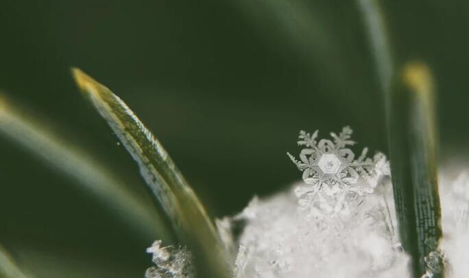 一片雪花的重量是多少 一片雪花到底有多重