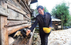 綦江：大山深处气象新