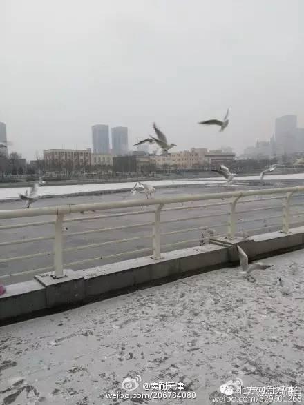 今天飘来“腊八雪”~过了今天就是年咯！关于“腊八”这些个讲究你都知道吗