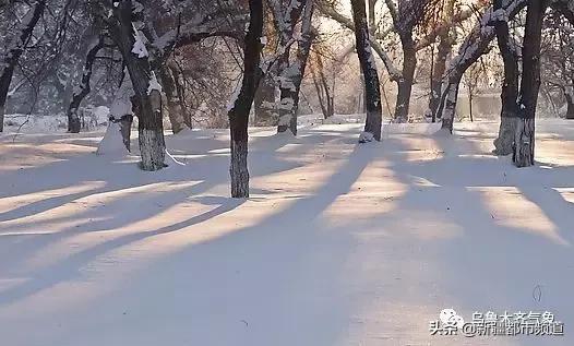 「天气」乌鲁木齐 过了腊八就是年~