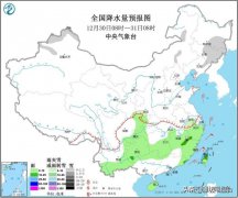 今日8时更新：全国、山东