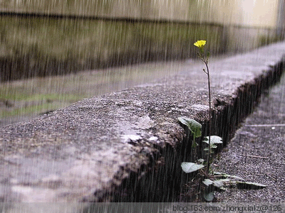 安全 | 徐州终于雨雨雨雨雨过天晴,这些高温天气消防安全知识你GET到了吗?