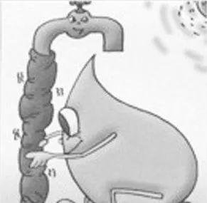 怎样渡过冰冻天气!这些防冻小知识赶紧备起来