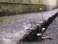 徐州终于雨雨雨雨雨过天