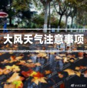 大风天气注意事项