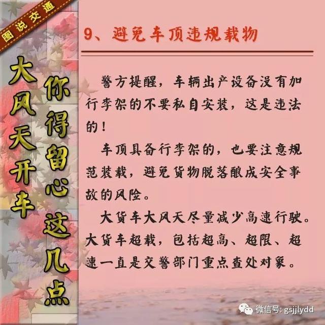 【知识点】大风天气开车要注意些什么?