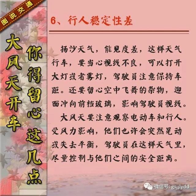 【知识点】大风天气开车要注意些什么？