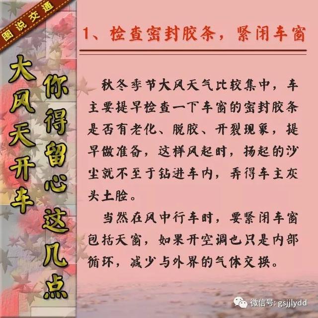 【知识点】大风天气开车要注意些什么?
