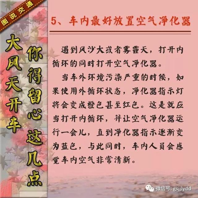 【知识点】大风天气开车要注意些什么?