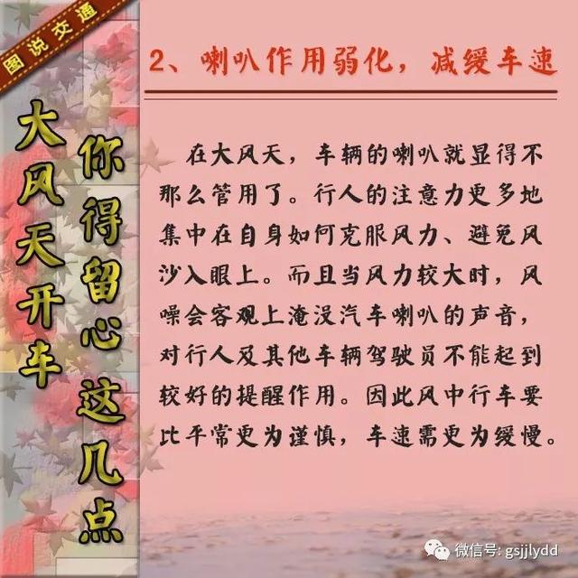 【知识点】大风天气开车要注意些什么?