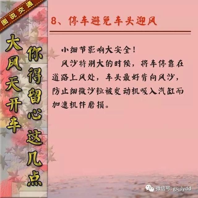 【知识点】大风天气开车要注意些什么?