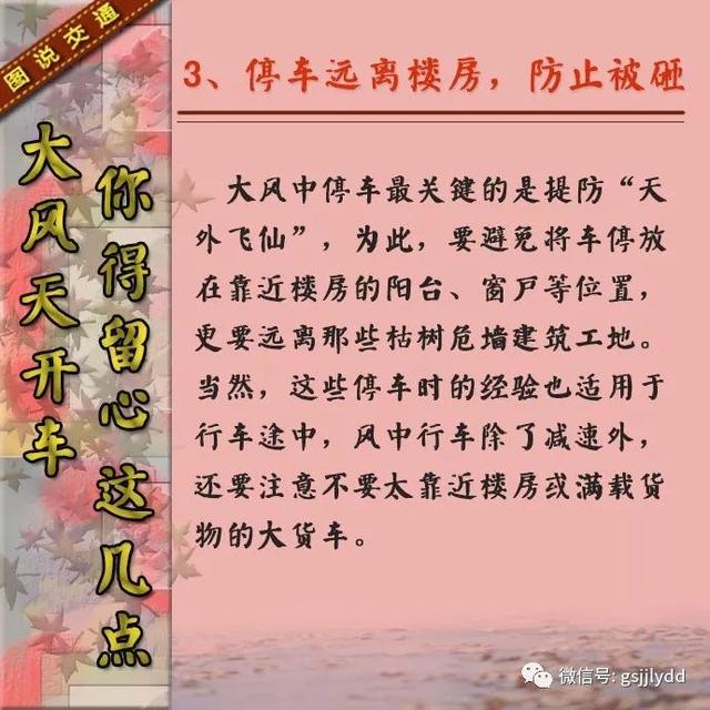 【知识点】大风天气开车要注意些什么?