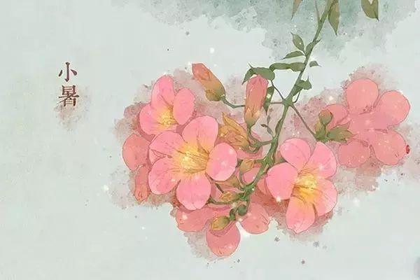 小暑养生,过“六关”喝“三汤”,健康一整夏