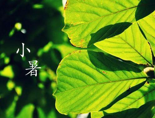 小暑养生,过“六关”喝“三汤”,健康一整夏