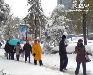 河北暴雪有多严重 看看就明白