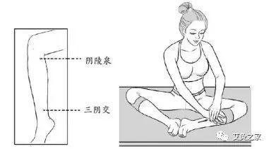 小暑养生有三宝,一饮,一“艾”,吃三宝,人人都是养生专家