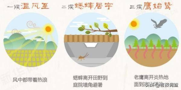 今天小暑!小暑过,每日热三分,养生一定要记住这四点