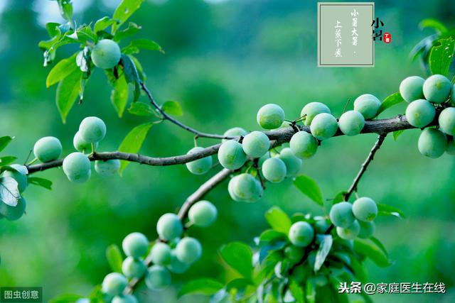 小暑时节如何养生?养生专家分享几招,牢记