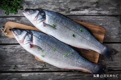 这6大养生法则,别人确实做得比我们好,我们该向他们学习