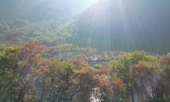 2018年夏至是几月几日