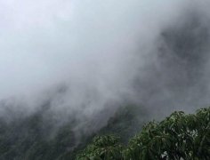 节气饮食 处暑养生吃什么