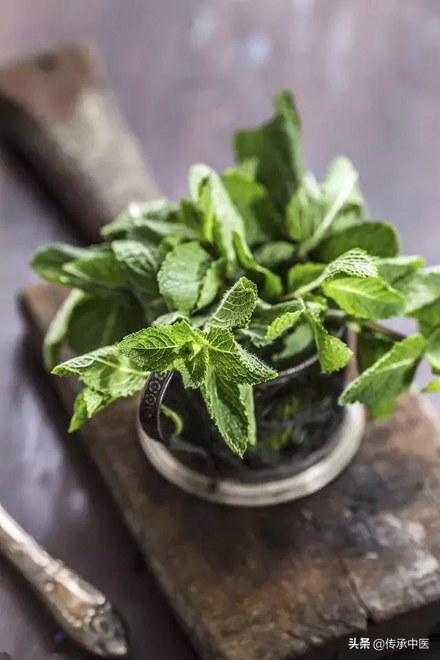 有些中药可以当菜吃,调病养生不含糊,适当注意禁忌即可