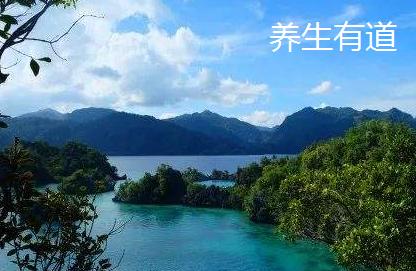 如何养生效果好?定要把握这四个重要时段